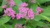 _092759_small.jpg