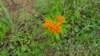 _100948_small.jpg
