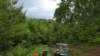 _101357_small.jpg
