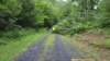_102047_small.jpg