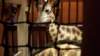 _101341_small.jpg