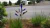 _073554_small.jpg