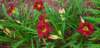 _085831_small.jpg