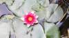 _092025_small.jpg