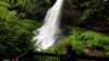 _102834_small.jpg