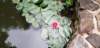 _154414_small.jpg