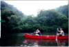 document_20220108_0002_small.jpg