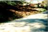 document_20220108_0012_small.jpg