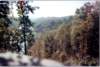 document_20220108_0013_small.jpg