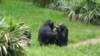 _103244_small.jpg