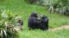 _103246_small.jpg