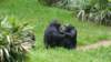_103248_small.jpg