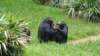 _103251_small.jpg