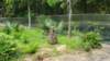 _104533_small.jpg