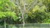 _104536_small.jpg