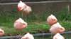 _105426_small.jpg