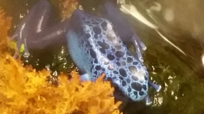 _105702.jpg