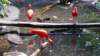 _110909_small.jpg
