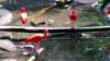 _110914_small.jpg