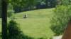 _113018_small.jpg