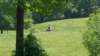 _113023_small.jpg