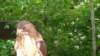 _135420_small.jpg