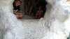 _140402_small.jpg