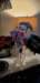 _170811_small.jpg